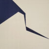 Divergence 1